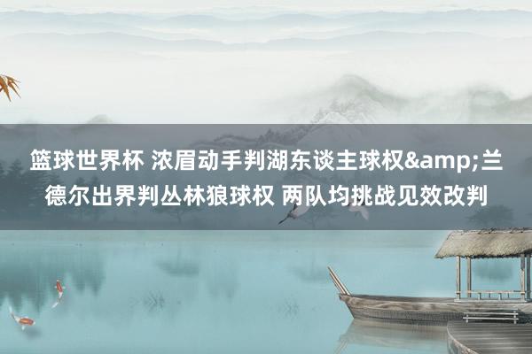 篮球世界杯 浓眉动手判湖东谈主球权&兰德尔出界判丛林狼球权 两队均挑战见效改判